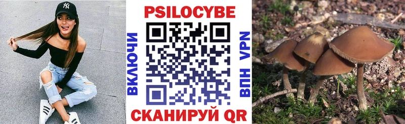 мега маркетплейс  Жигулёвск  Псилоцибиновые грибы MAGIC MUSHROOMS 