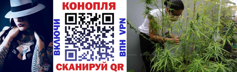 где найти   Жигулёвск  Канабис OG Kush 